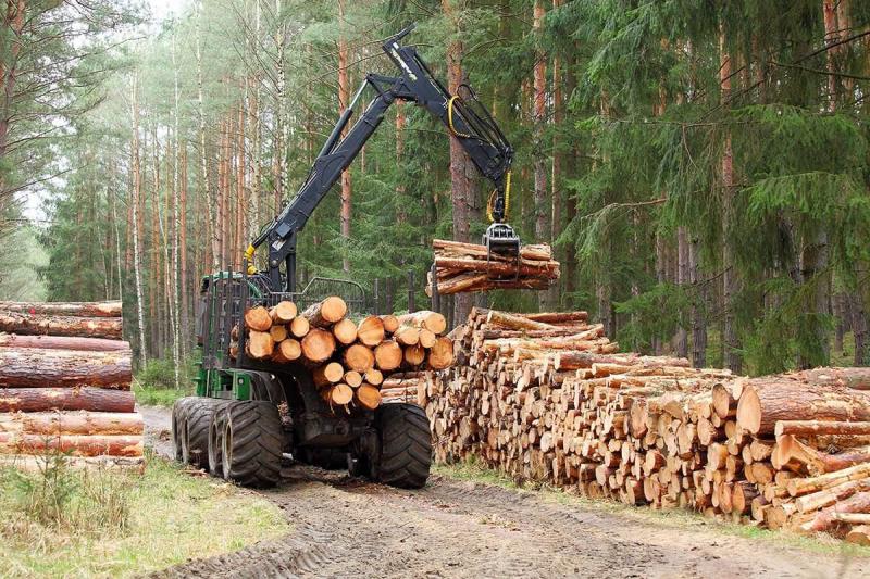 <span>دولت روسیه راهبرد توسعه جنگل 2030 را تصویب کرد</span>
