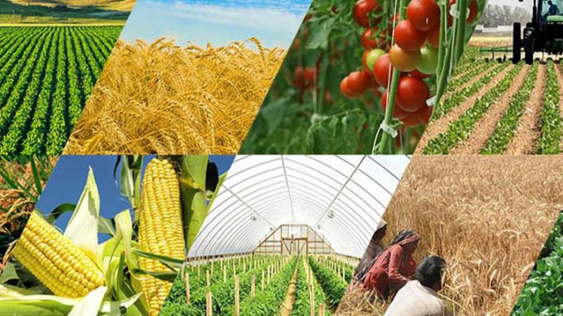 <span>تجارت کالاهای کشاورزی بین روسیه و آذربایجان 1.5 برابر شد</span>
