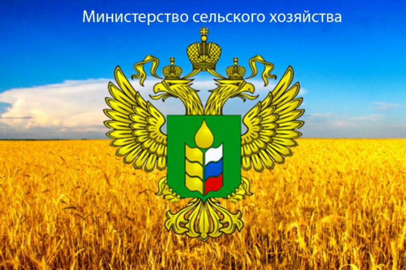<span>وزارت کشاورزی روسیه در راستای توسعه همکاری به ده کشور نماینده فرستاد</span>
