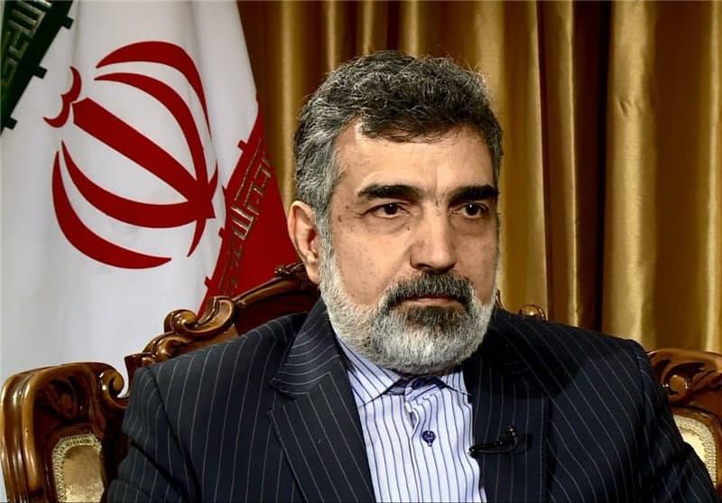 <span>Кямалванди: гендиректор МАГАТЭ прибудет в Тегеран в субботу вечером</span>
