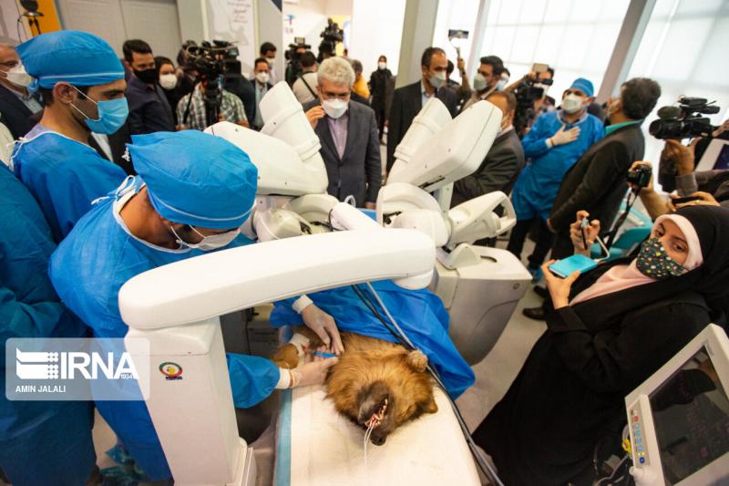 <span>Иранский робот-хирург - прототип De Vinchi  успешно провел телеоперацию на собаке</span>
