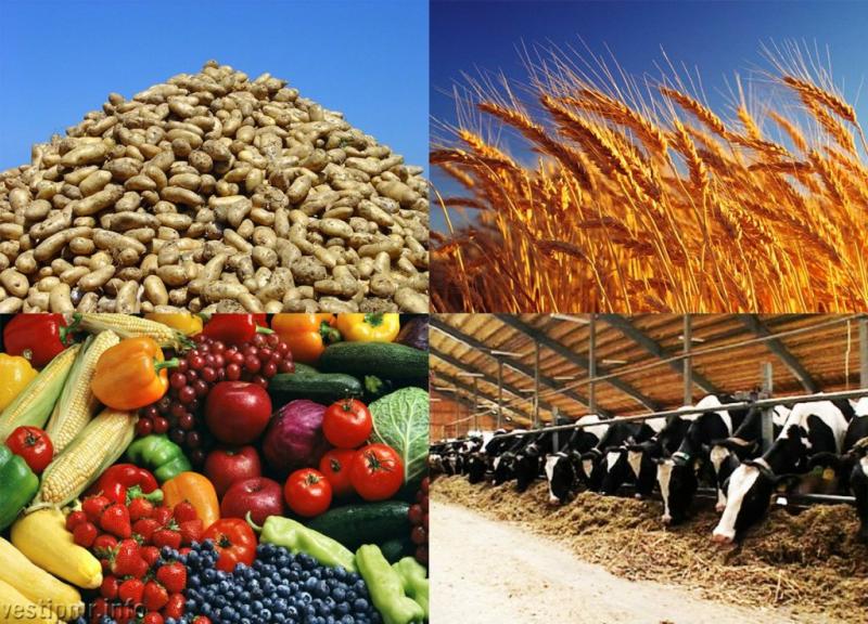 <span>Рост экспорта сельхозпродукции провинции Хамедан в первом полугодии составил 28%</span>

