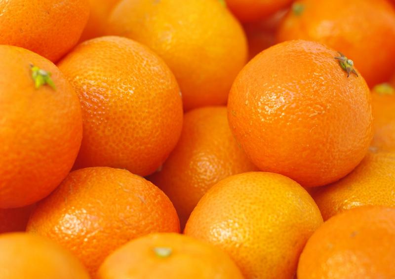 <span>صادرات ۲ هزار تن پرتقال از ایران به ازبکستان</span>
