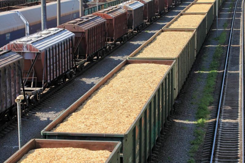 <span>Активизация экспорта зерна из Казахстана: Иран становится ключевым направлен</span>
