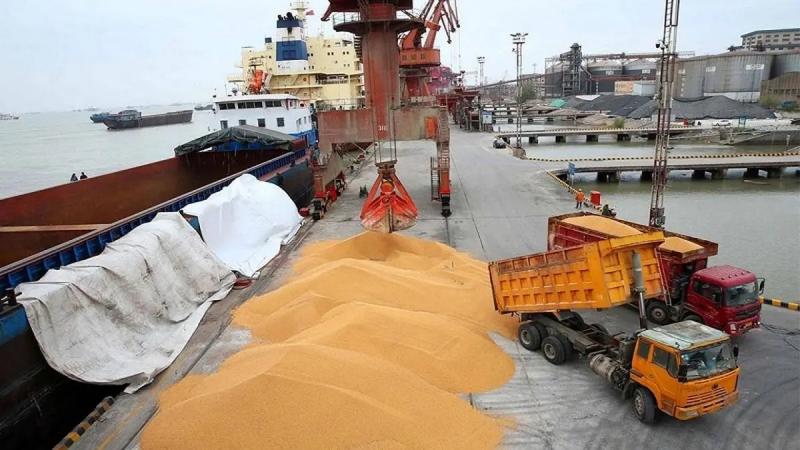 <span>Иран ежегодно закупает около 3 млн тонн российского зерна</span>
